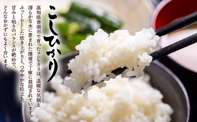 令和7年産 無洗米 コシヒカリ 計約9kg cs-0004