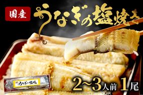 "新月の塩"使用　うなぎの塩焼き2～3人前(1尾)　ふるさと納税 鰻  国産 ウナギ 塩焼き うな丼 うな重 惣菜 京都 ギフト 贈り物 お祝い　AN00097