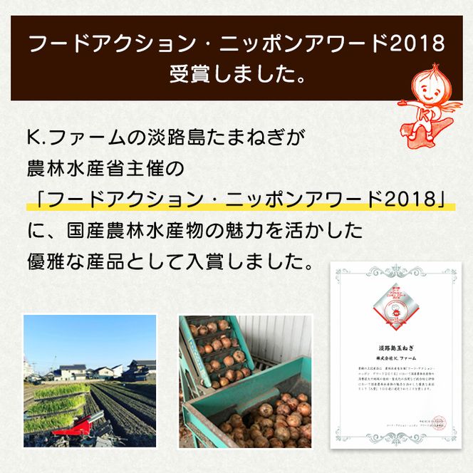 【新玉ねぎ】淡路島玉ねぎ 大きな2Lサイズ10kg【発送時期：2026年3月下旬～6月頃】