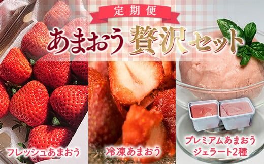 yFzyԌ蔭z   ґZbg tbV܂ & Ⓚ܂ & WF[g 2 [THE FARM_strawberry  F um40azo780005] ACX C`S  t[c ʎ Â 