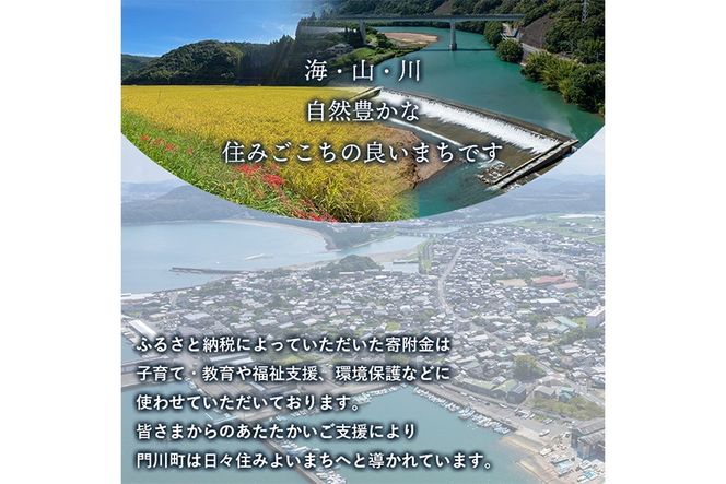 ≪返礼品なし・1,000円≫宮崎県 門川町への寄附【地域振興課】【AI-10】