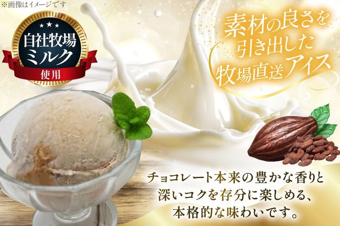 テレビで紹介！ アイス ジェラート チョコココア 1L ファミリーサイズ ジャンボサイズ [岩瀬牧場 北海道 砂川市 12260966] 冷凍 アイスクリーム 詰め合わせ スイーツ