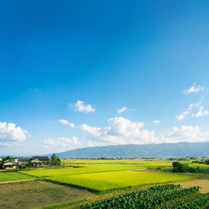 吉野家 牛すい 20袋 豚汁 20袋 セット フリーズドライ 常温保存 食品 とん汁 牛肉 インスタント 常温 非常食 保存食 災害 防災 備蓄 ローリングストック 非常用 備蓄用
