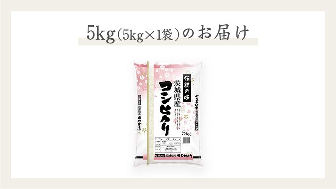 《 令和6年産 》 茨城県産 コシヒカリ 5kg ( 5kg × 1袋 )  期間限定 こしひかり 米 コメ こめ 五ツ星 高品質 白米 精米 時短 単一米 新米[AC039us]