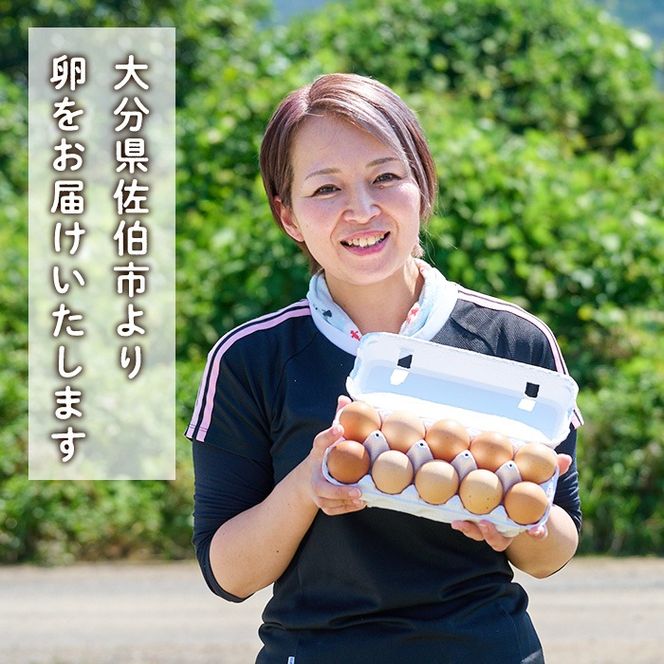 産直・平飼い有精卵 (計30個) 卵 玉子 卵かけご飯 玉子焼き 平飼い 鶏 鶏卵 養鶏場直送 朝採れ 新鮮 大分県 佐伯市 【HM01】【佐伯養鶏場】