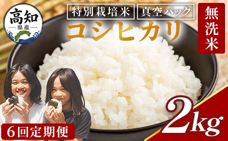 無洗米 2kg [6回定期便]令和8年産 高知県香南市産 特別栽培米 コシヒカリ 2kg - 国産 米 お米 こしひかり 白米 どうぞ ごはん おにぎり ご飯 防災 非常食 備蓄 kome 高知県 香南市 常温 Wnu-0014
