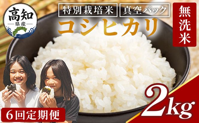 無洗米 2kg 【6回定期便】令和8年産 高知県香南市産 特別栽培米 コシヒカリ 2kg - 国産 米 お米 こしひかり 白米 どうぞ ごはん おにぎり ご飯 防災 非常食 備蓄 kome 高知県 香南市 常温 Wnu-0014