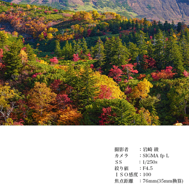 SIGMA 18-50mm F2.8 DC DN｜Contemporary【キヤノンRFマウント】カメラ　レンズ