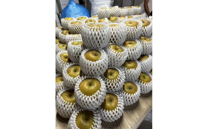 1256.【2026年度発送先行予約】数量限定　新甘泉　3kg 313726_CS002