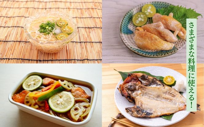 ざまみのシークヮーサー果汁100% 500ml×3本