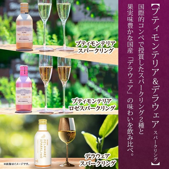 スパークリング 缶ワイン 5種 セット 各290ml×2本 計10本 飲み比べ モンデ酒造 ロゼ デラウェア ピーチ 酒 お酒 贈答 ギフト 晩酌 宅飲み 家飲み キャンプ BBQ バーベキュー パーティー アウトドア 送料無料 山梨県 笛吹市  177-4-173