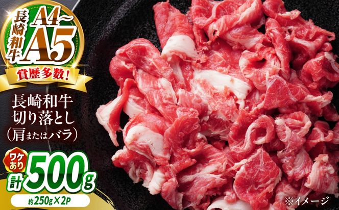 【訳あり】【A4〜A5】長崎和牛切り落とし 500g（250g×2）/ 牛肉 ぎゅう肉 和牛 / 南島原市 / 株式会社MEAT PLUS[SHG036]