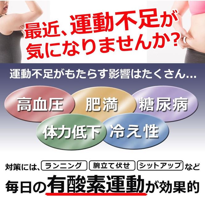 ステッパー フィットネス 静音 負荷調整 トレーニングバンド付属 計測メーター 有酸素運動 室内運動 足踏み ダイエット エクササイズ 昇降運動 下半身 運動 室内 筋トレ ながら運動 SunRuck SR-FT028