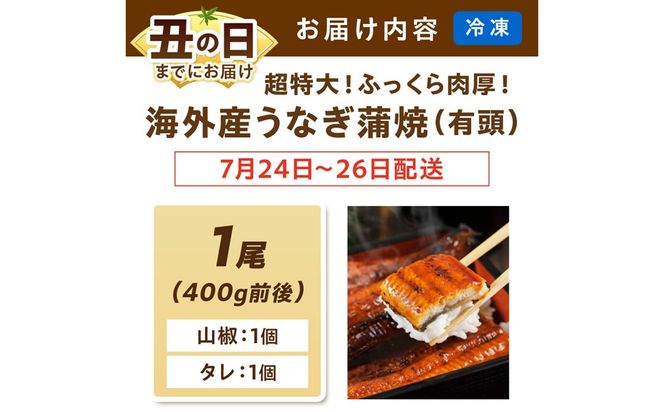【7月24～26日配送】超特大！ふっくら肉厚！うなぎ蒲焼 1尾 400g前後 ふるさと納税 鰻 外国産 ウナギ 肉厚 蒲焼 鰻の蒲焼 有頭 蒲焼き　YK00402_01