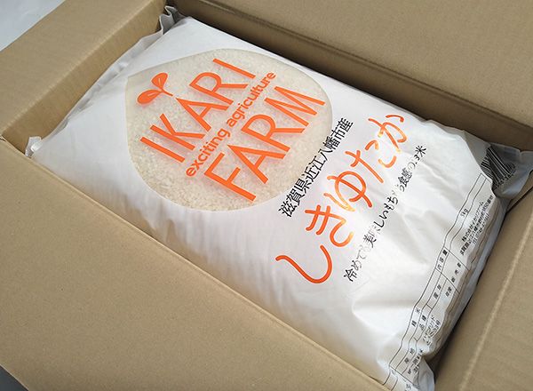 【7年産】すっごいもちもち「しきゆたか」白米定期便　6カ月で5kgを6回お届け（1カ月に1回）【C013W1】