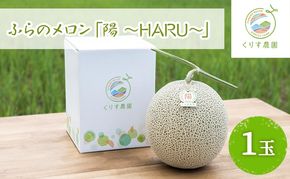【2026年7月上旬より順次発送】ふらのメロン「陽 ～HARU～」大玉(2.3kg以上)×1玉 ( 赤肉 )( くりす農園 )