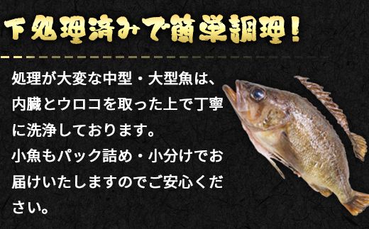 【定期便】北海道産 訳あり 冷凍鮮魚セット 家族サイズ Ｍサイズ 3.6kg〜4.0kg  年4回お届けコース 総重量14.4kg～16.0kg 【漁師応援プロジェクト】鮮魚ボックス 詰め合わせ
