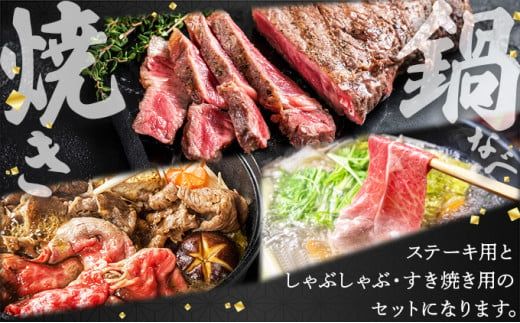 佐賀牛しゃぶ･すき用&ステーキセット M-36