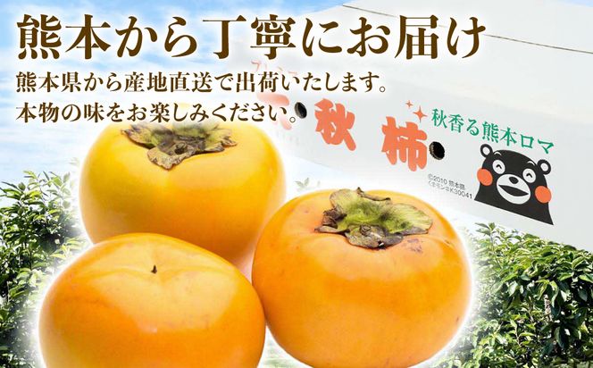 【先行予約】 太秋柿 約3kg （8～15玉） フルーツ くだもの 果物 柿 かき カキ おやつ デザート 秋の味覚 秋 旬 熊本県 八代市 【2026年10月上旬より順次発送】