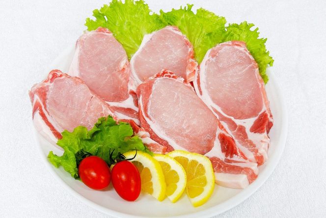 豚肉 宮崎県産豚肉 ロースカツ用 1kg ヒレカツ用 300g 詰め合わせ セット [TRINITY 宮崎県 日向市 452061324] 小分け 冷凍 豚 とんかつ ロースカツ お弁当 おかず