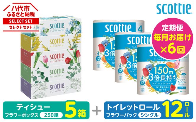 【定期便6回】【毎月お届け】【スコッティ】 組み合わせ ティシュー フラワーボックス 250組 5箱 計30箱 トイレットロール シングル フラワーパック 3倍長持ち 12ロール 計72ロール ティッシュ トイレットペーパー 日用品 ストック 防災備蓄 ストック 備蓄 新生活 防災 消耗品 生活用品 日用消耗品 箱ティッシュ