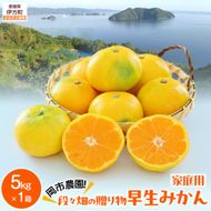 【先行予約】【数量限定】岡市農園！段々畑の贈り物　早生みかん5kg×1箱（家庭用）（2026年11月下旬より順次発送） IKTV009