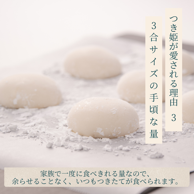 みのる産業 3合餅つき機 つき姫 リッチホワイト 餅つき機 ホワイト