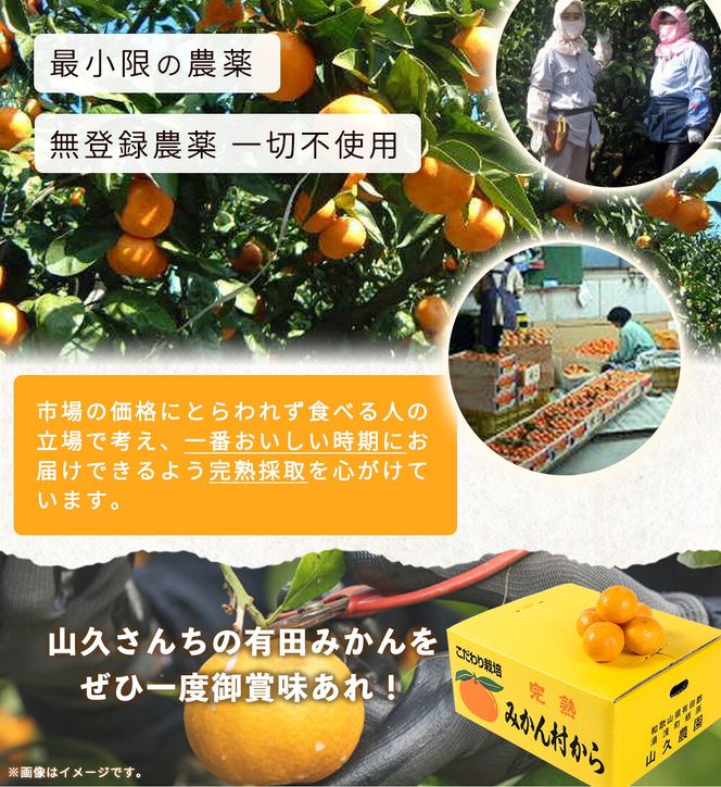 有田みかん 特撰秀 約7kg (Sサイズ)_ZP6108n