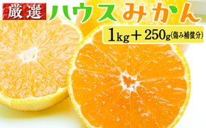 厳選 ハウスみかん1kg+250g（傷み補償分）