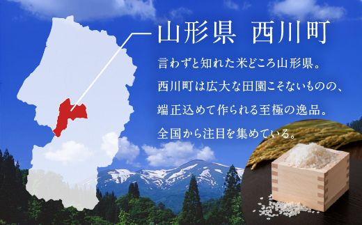 FYN2-487 【3回定期便・10月後半発送】令和7年産 山形県産 はえぬき 20kg 無洗米 2025年 お米 米 米米 ごはん ご飯 白米 国産 ブランド米 節水 時短 冷めてもおいしい お取り寄せ 食品 山形県 西川町 月山