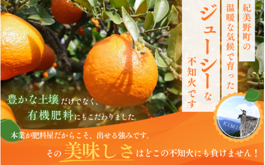 【先行予約】秀品 露地不知火 2.5kg【L～3Lのサイズおまかせ】【2025年2月上旬から2024年２月下旬頃に順次発送】＜味好農園＞/不知火 デコポン 蜜柑 みかん 柑橘 果物 フルーツ 【agy012】