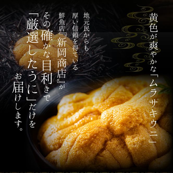 【2026年夏発送】塩水ウニ【ムラサキウニ】 100g×2パック 計200g 北海道余市町産塩水ウニ発祥の地 高級ウニ 高級雲丹 ムラサキウニ 白うに北海道産ウニ_ Y037-0344