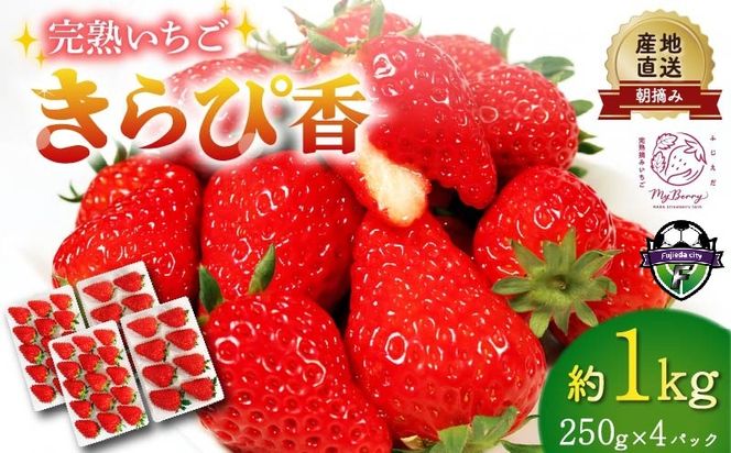 いちご 先行予約  2027年1月～2月発送予定 いちご きらぴ香 約1kg 約250g×4パック 朝どれ 完熟 苺 産地 直送 フレッシュ イチゴ 贈答 フルーツ 果物 国産 静岡県 藤枝市