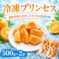 冷凍プリンセス 500g × 2袋 冷凍みかん みかん ミカン 愛媛みかん 蜜柑 柑橘 かんきつ 冷凍ミカン 冷凍柑橘 アイス スムージー シャーベット みかん職人武田屋 愛媛県 愛南町