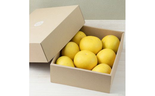 【先行予約】☆至高の柑橘　高知産 土佐文旦☆ 2L 8玉入【家庭用】〈2027年1月下旬頃より順次発送〉/ 柑橘 フルーツ 先行予約 ぶんたん ブンタン 果物 お取り寄せ【TAMURAKAJUEN】