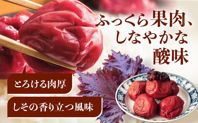紀州南高梅 しそ 塩分約15％ 400g ［YM5］ 303446_DX90008