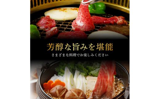 【CF-R7hbk】TKA171　天下味 長期熟成肉 エイジングビーフ 黒毛和牛 もも肉 モモ スライス 300g×4 合計1.2kg 国産 黒毛和牛 肉 牛肉 A5 赤身 人気 老舗焼肉店 冷凍 新鮮 真空パック 美味しい すき焼き 鍋 贅沢 お祝い 高知 芸西村 返礼品 故郷納税 贈り物 贈答 ギフト 24000円