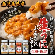 ＜鹿児島県産うに使用＞濃厚なウニの瓶詰め(4種)国産 九州産 鹿児島産 ウニ うに 雲丹 海胆 水産加工品 ムラサキウニ あわび アワビ 鮑 おつまみ【尾塚水産】akn004-21