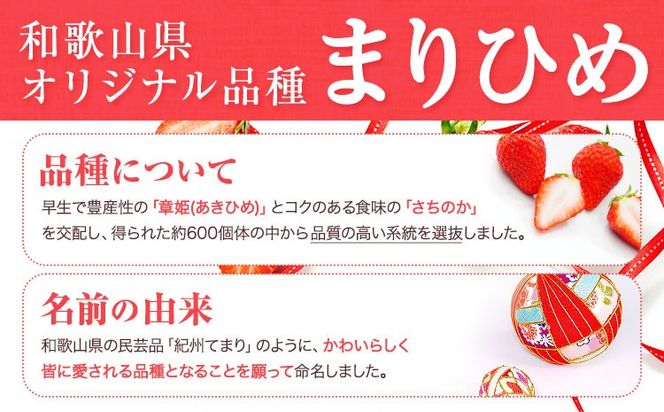 【先行予約】紀州和歌山県ブランドいちご「まりひめ」約250g×4パック 計1kg 株式会社魚鶴商店《2027年3月上旬-3月下旬頃出荷》和歌山県 日高町 いちご 苺 まりひめ フルーツ 果物 スイーツ 送料無料 ---wsh_cuot219_3j3g_25_20000_4p---