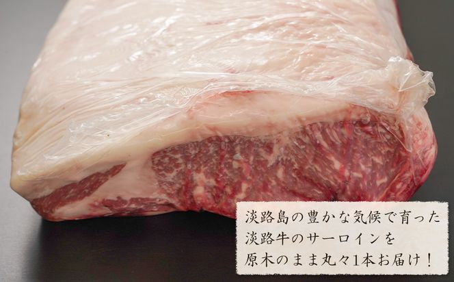 淡路牛 サーロイン 原木丸々1本 約6～8kg　　[ブロック 牛肉 冷凍]