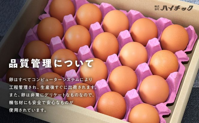 ワインたまご定期便　AI-2