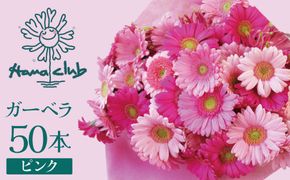 【ラッピング付】生花 ピンクガーベラ の花束 50本 日付指定可能 ギフト プレゼント ラッピング 産地直送 インテリア お花 フラワー  ボリューム満点 H193-013