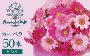 【ラッピング付】生花 ピンクガーベラ の花束 50本 日付指定可能 ギフト プレゼント ラッピング 産地直送 インテリア お花 フラワー ボリューム満点 H193-002