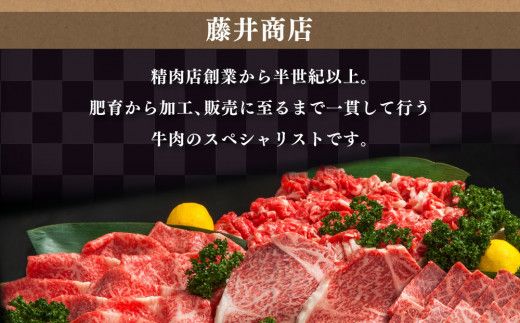 常陸牛 ヒレステーキ 250g×5枚（茨城県共通返礼品） | 合計1,250g 国産牛 茨城県産 牛ヒレ肉 牛肉 ヒレ 牛ヒレステーキ