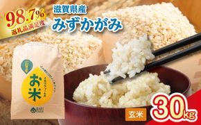 【新米】令和8年産　冷めても美味しいあっさりとした味わい「みずかがみ」玄米【30kg×1袋】【C019W2】（滋賀県　近江八幡市）
