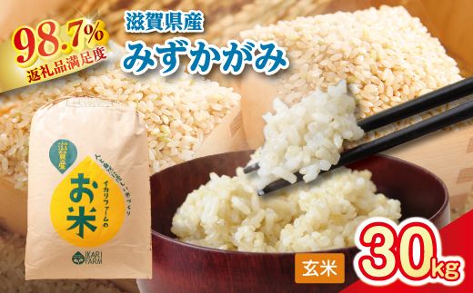 【新米】令和8年産　冷めても美味しいあっさりとした味わい「みずかがみ」玄米【30kg×1袋】【C019W2】（滋賀県　近江八幡市）
