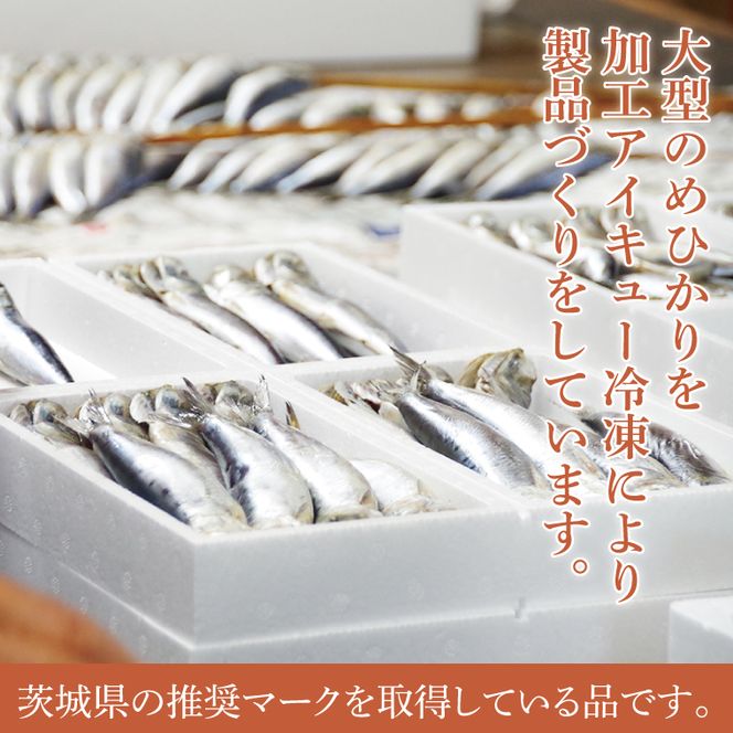 めひかり丸干5個セット【メヒカリ 海鮮 鮮魚 白身魚】(BH204)