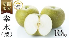 【 JA 北つくば 】 筑西ブランド 認証品 幸水 10kg 2026年産 先行予約 梨 果物 フルーツ なし ナシ 幸水梨 くだもの デザート 茨城 [AE009ci]