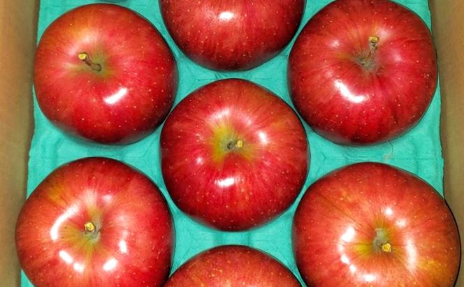 サンふじ（贈答用） 約3kg（8玉〜12玉入り）トメズファーム　りんご　長野　信州　小諸　果物　フルーツ