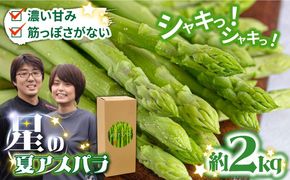 【2026年6月初回発送】【数量限定】甘い！柔らかい！【星のアスパラ】厳選 グリーン アスパラガス 約2kg / アスパラ アスパラガス 野菜 厳選 / 南島原市 / ほしのYA [SEY002]